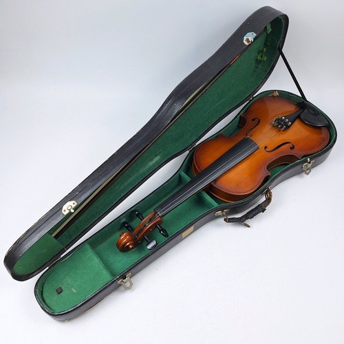 Parrot violin full - parrot,