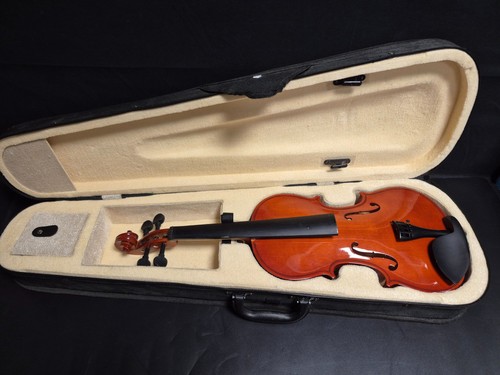 Acoustic violin with hard - violin,