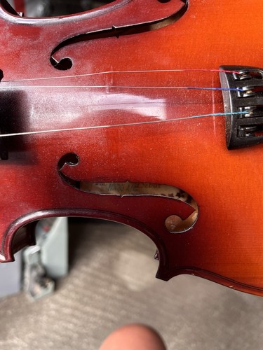 Antoni debut violin - violin, model