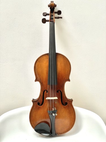 Violin full size stainer - full,