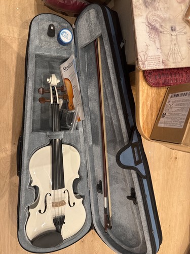 Stentor harlequin violin - harlequin,