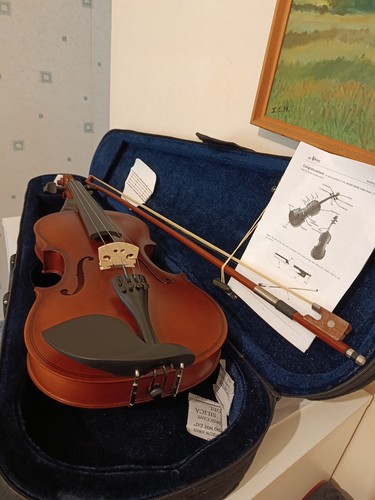 Alien violin full size - violin,