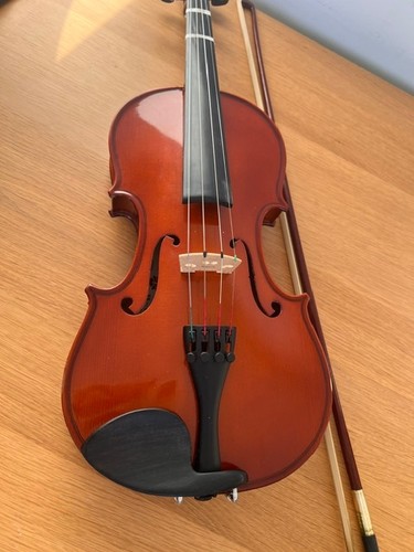 Violin cathedral 4 - vs,