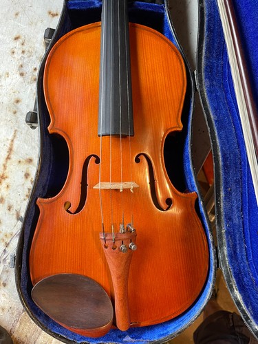 Full size stentor student - size,