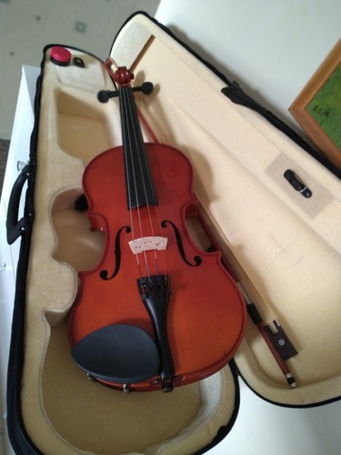 Acoustic violin palatino - violin, 4/4